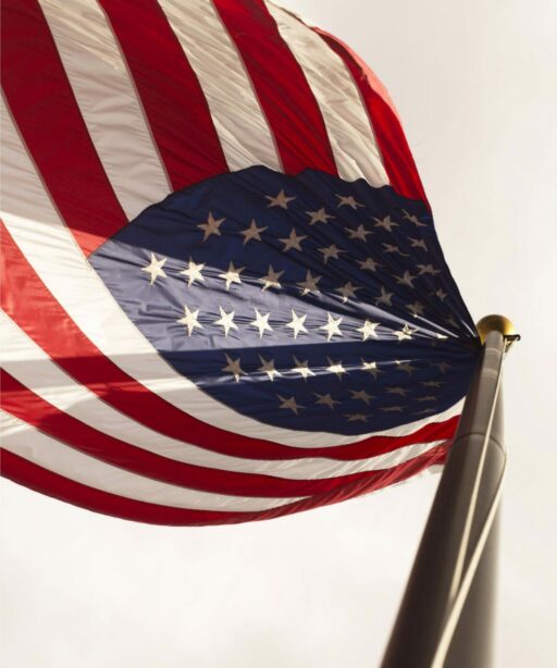 DD_American_sRGB_flag_worm_view3039 B&C