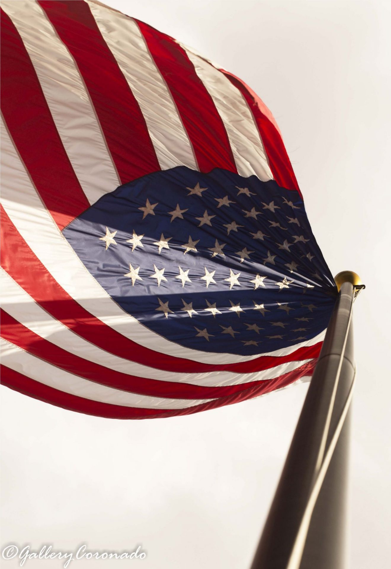 DD_American_sRGB_flag_worm_view3039 B&C
