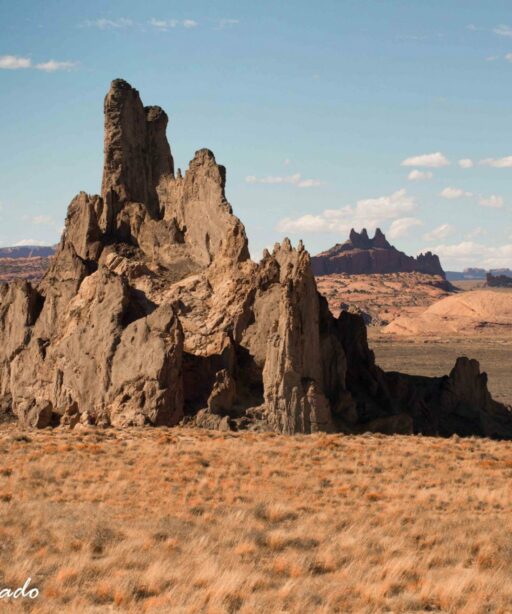 DD_Church_Rock_ top left BURN cf DetEx ProC IndSum Navajo_Colorado_5242 REV