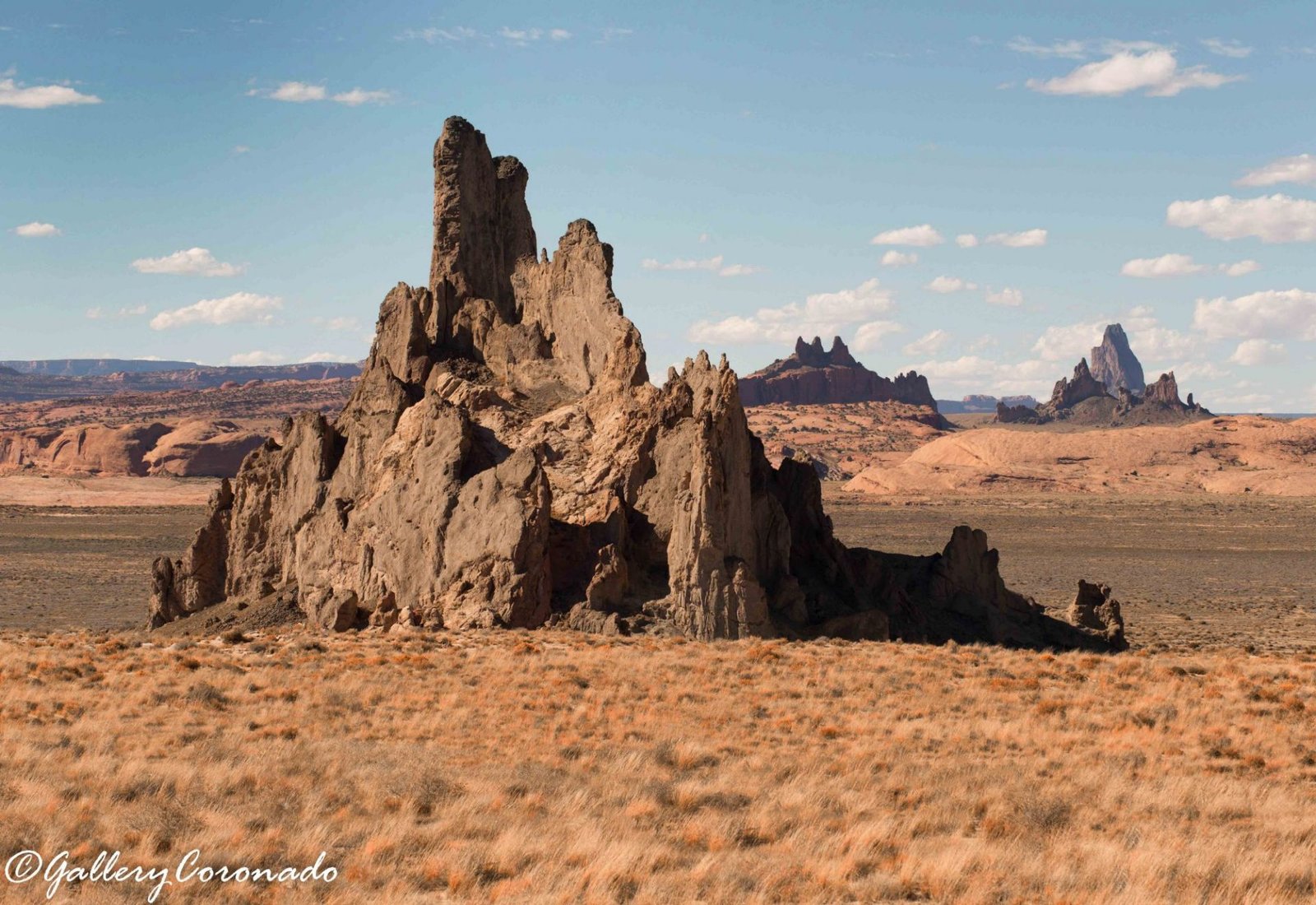 DD_Church_Rock_ top left BURN cf DetEx ProC IndSum Navajo_Colorado_5242 REV - GalleryCoronado