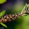 DD_IMG_3322-2sRGB