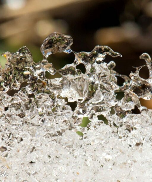 DD_Ice