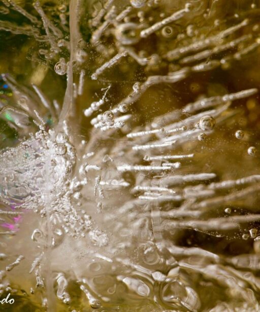 DD_Ice_macro_5518-2sRGB Ltr