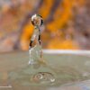 DD_WaterMacro A1_c1053 DD2
