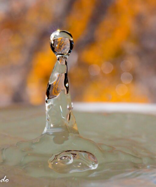 DD_WaterMacro A1_c1053 DD2