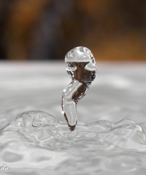 DD_WaterMacro_1256d-2sRGB
