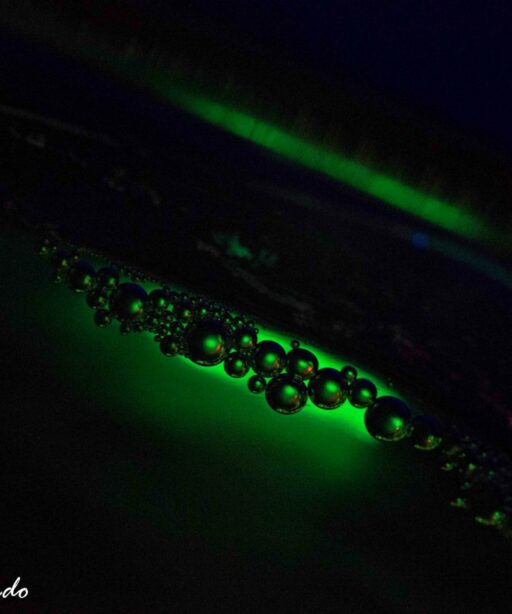 DD_florescent_water_AV_9460-2sRGB
