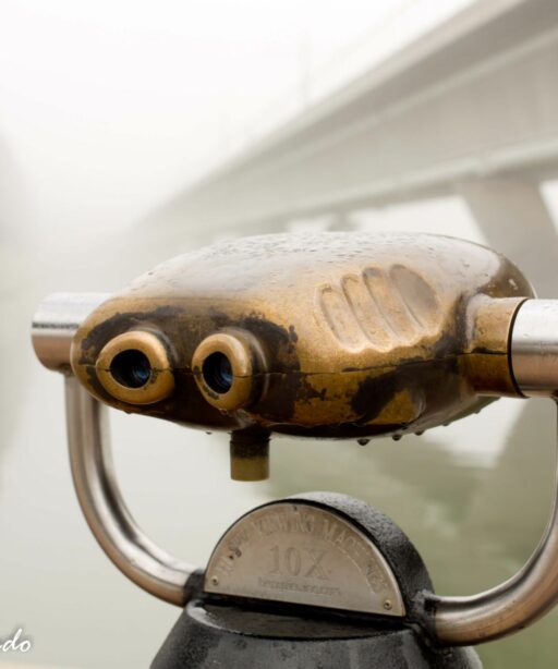 DD_fog_bridge_binoculars_fave_5990