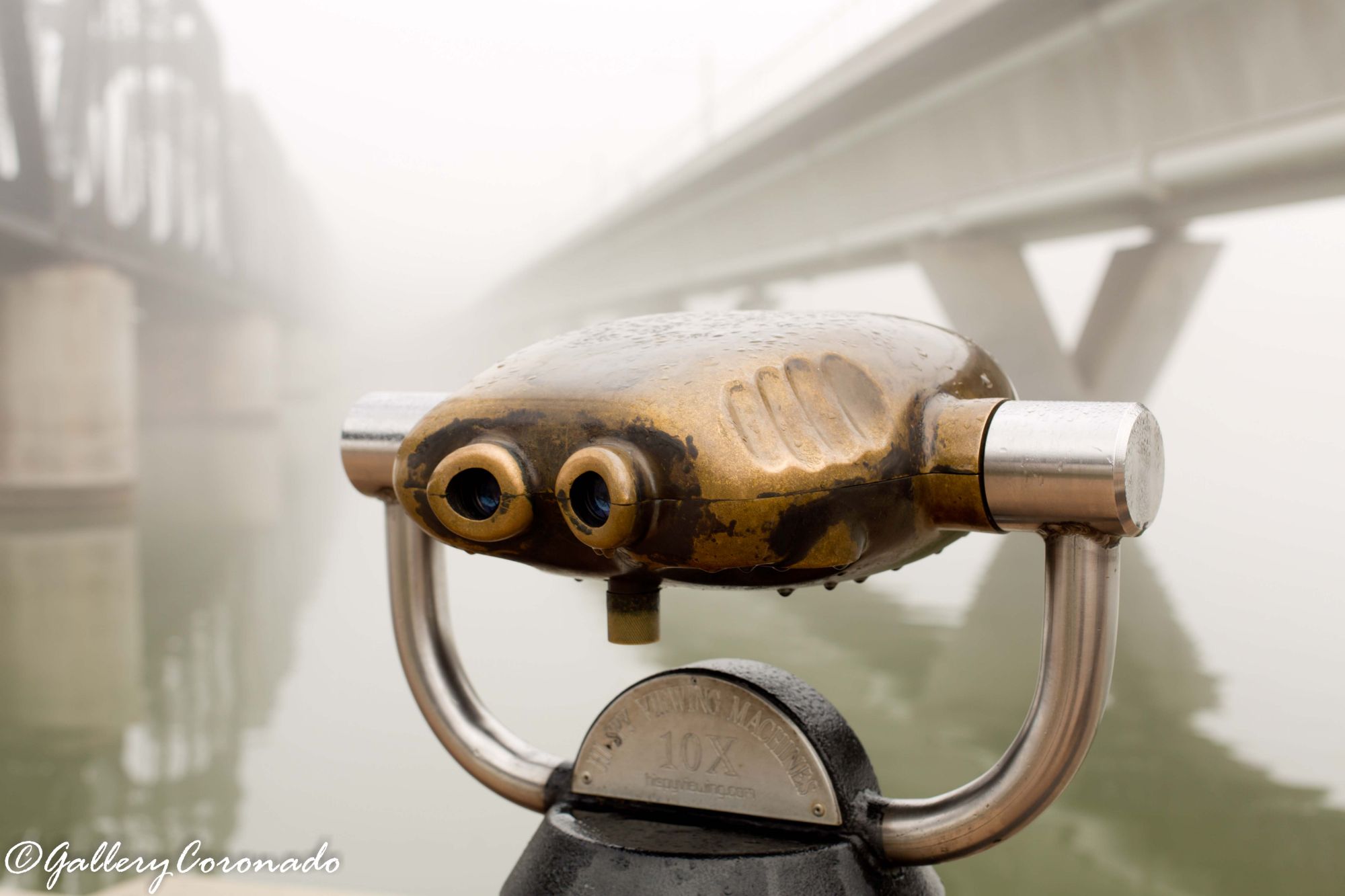 DD_fog_bridge_binoculars_fave_5990