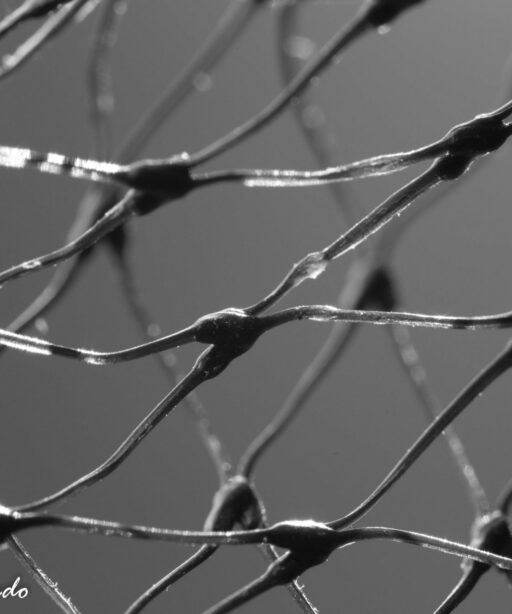 DD_mesh_net_plastic_pattern_2351_bw