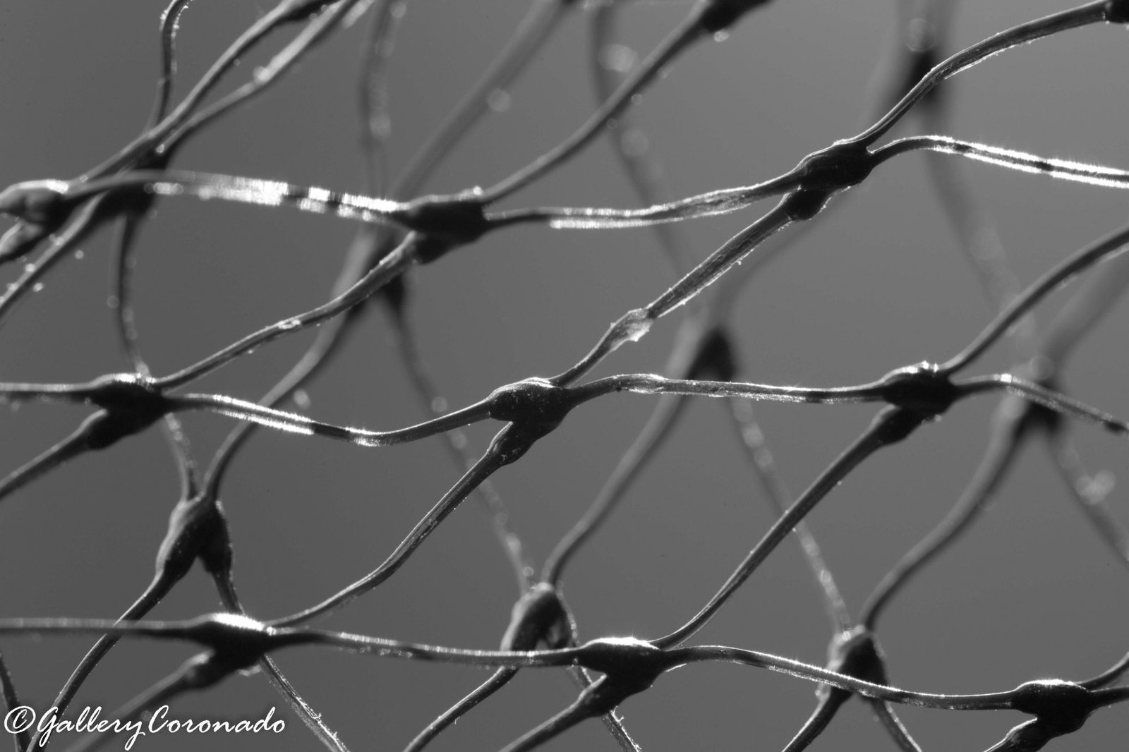 DD_mesh_net_plastic_pattern_2351_bw - GalleryCoronado
