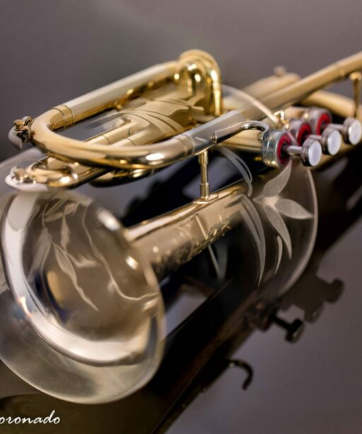DD_stacked 16x20 _trumpet_glass_fave_3977 pl edit