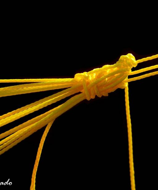 DD_yellow Ai ropes black more 3716DD PL edit2