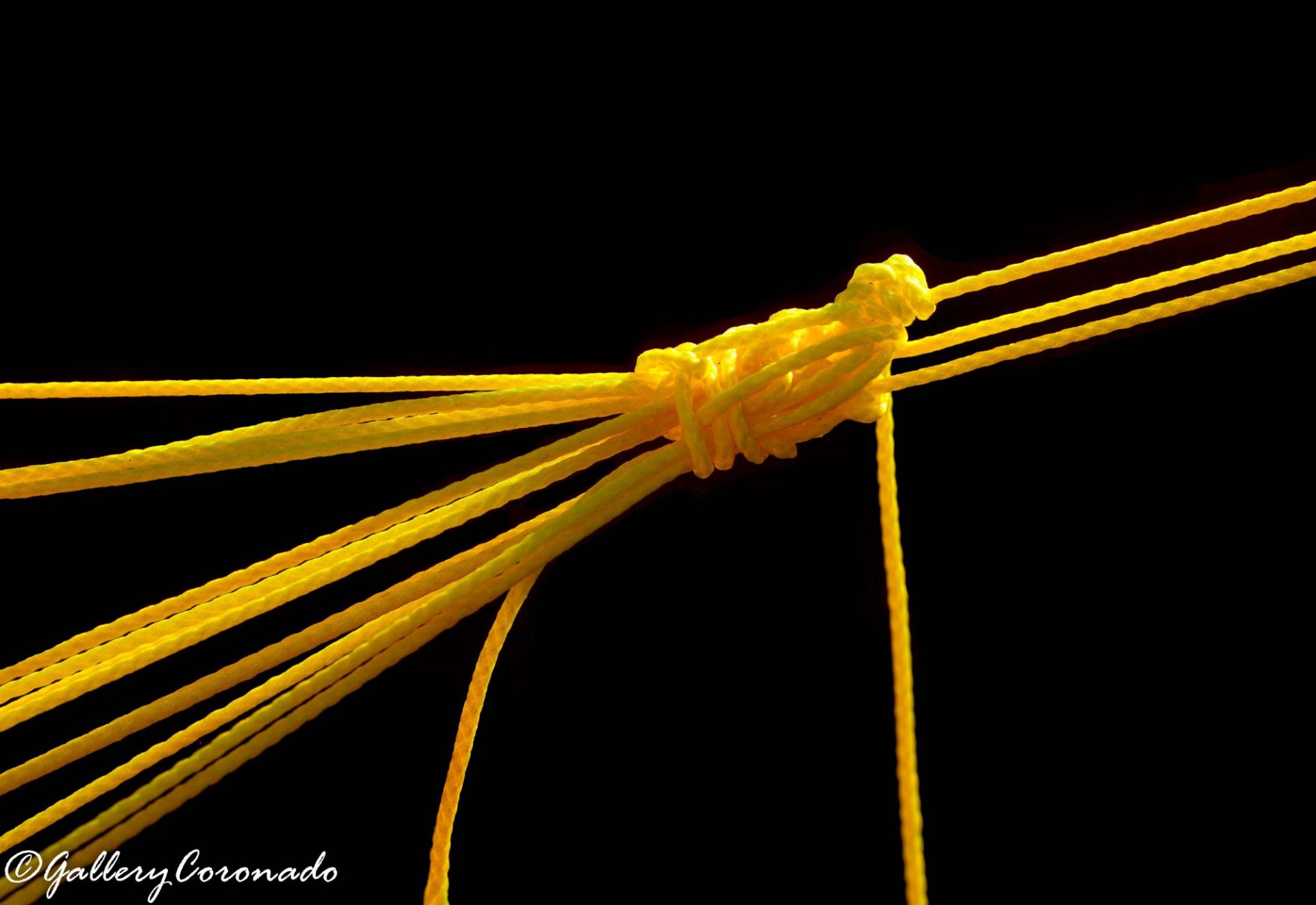 DD_yellow Ai ropes black more 3716DD PL edit2