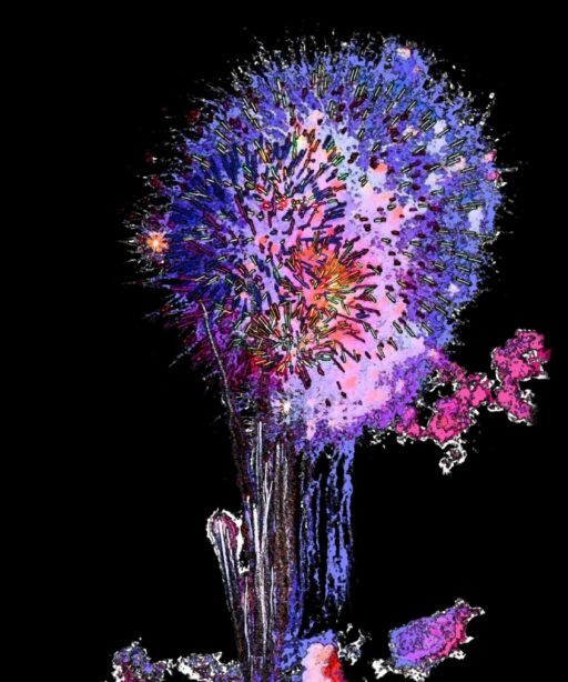 FS_Fireworks purple 2797 FC_PL edit1-2sRGB