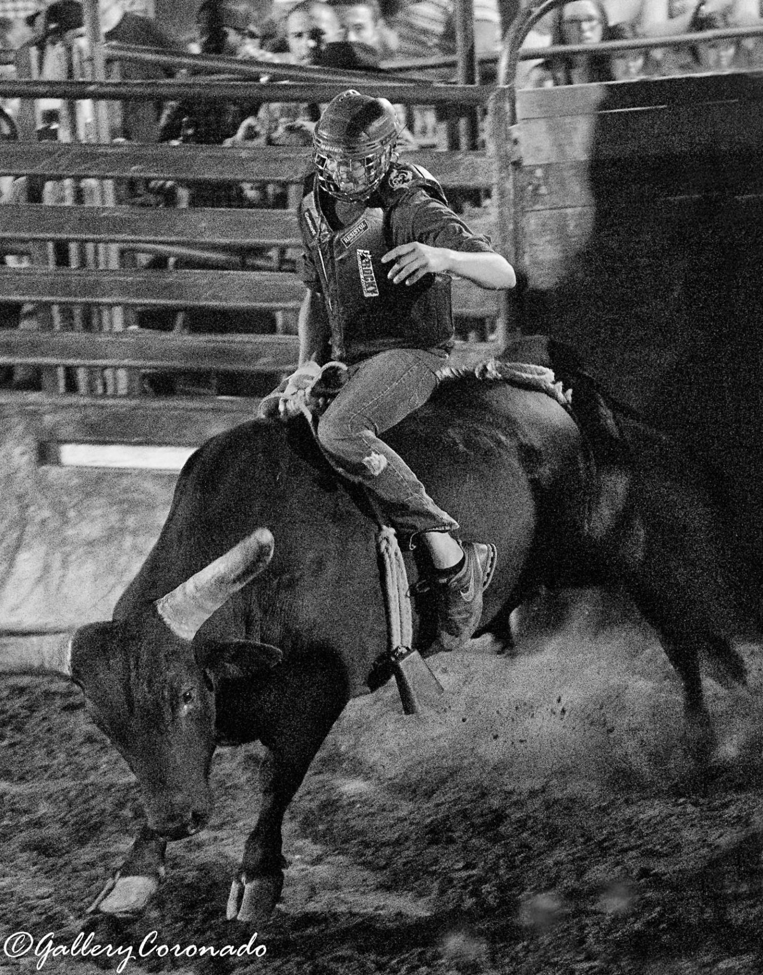 PL_Bull rider rocks flying B&W 3511_