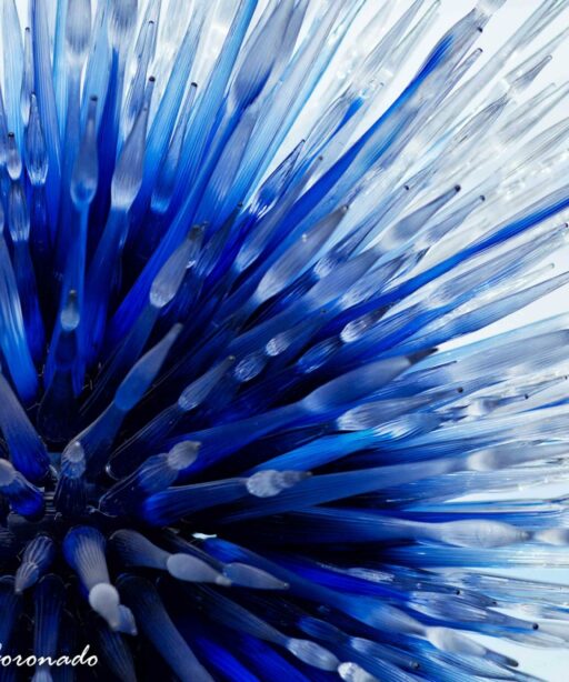PL_Chihuly blue glass side & sky 3137c cf-2sRGB