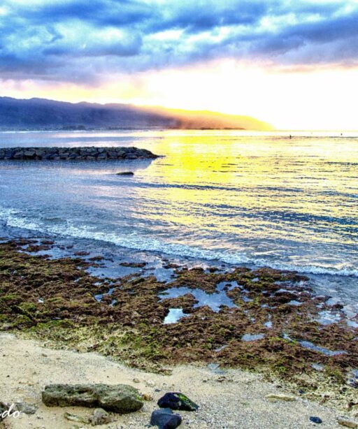 PL_Haleiwa_Intense sRGB ocean 0164c