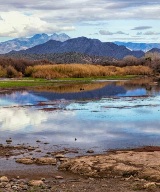 PL_Mountain_River_ reflection Salt River cf ton sunl detEx 7259-2sRGB
