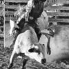 PL_Rider_White bull sRGB B&W 7608eye_jpg