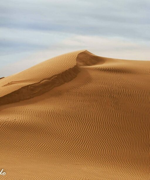 PL_Sand dune ai x2 Ripple blu hue sky 7125cf