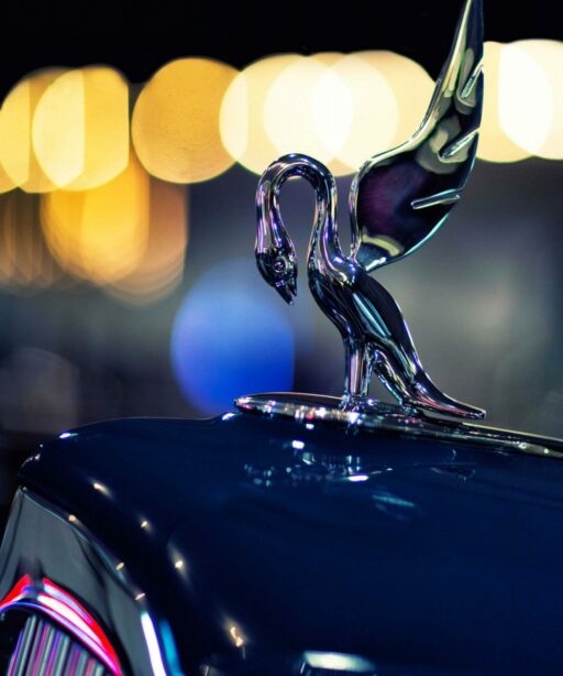 PL_Swan hood ornament Packard 4806 cf-2sRGB ltr