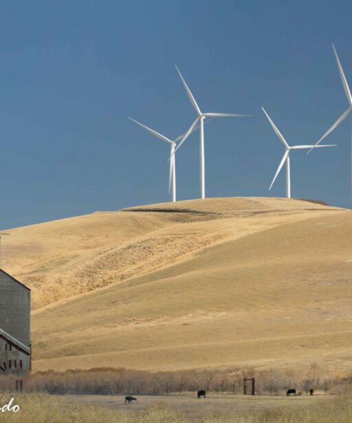 PL_Wind turbines 1027 1032 Lewiston WL Pat L DD edit-2sRGB