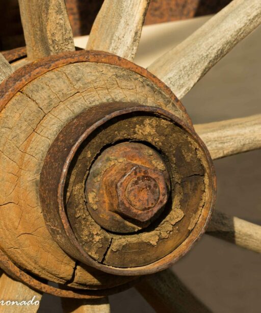 PL_Wood wheel Ai hub CvCrk 7532-2sRGB