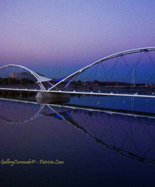 Purple srgb tempe bridge cf 2230. Patricia Lam SLIDE FEATURED