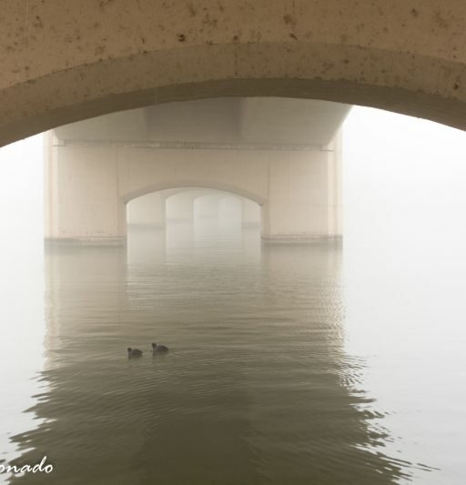 Bridge Fave Traintracks Tempetownlake Fog Millave 453 07 Out More