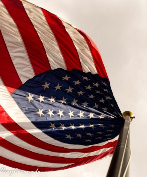 Item American Flag Wormview Squarecrop Fave Stars Stripes Distorted 3039 Cf Tonal Pro