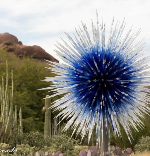 Item Chihuly Botanical Gardens Fave 2888