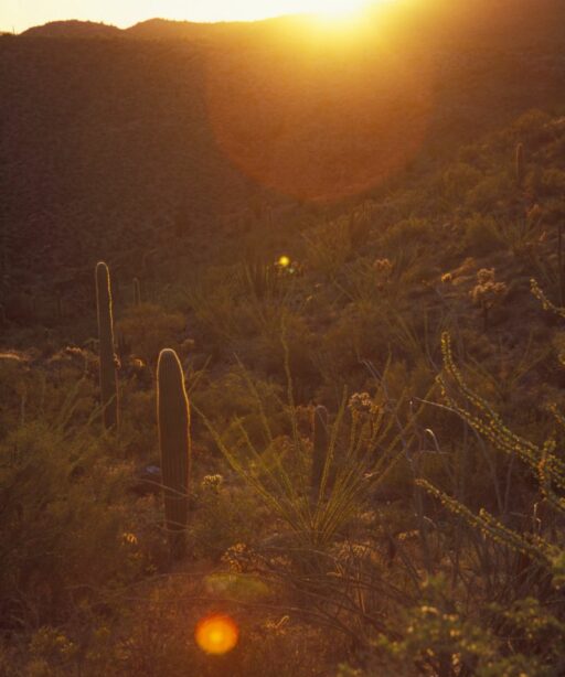 Landscape Salt River Superstitions Fave 5209