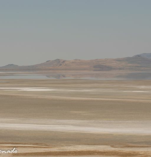 Sand Dunes Imperial California 9805