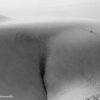 Sand Dunes Imperial California 9807a