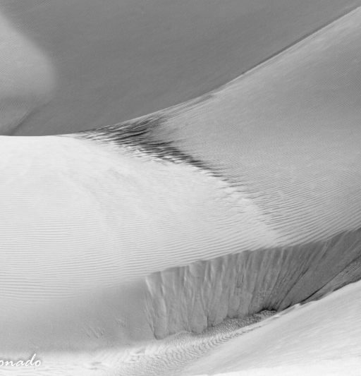 Sand Ropland Fave Fog Lines Vanishing Mud Chandlerfoggyday 3954