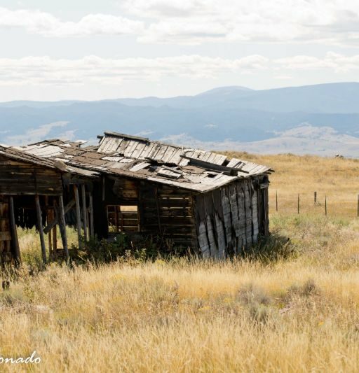 Shack Field Old Alone Fave 8363