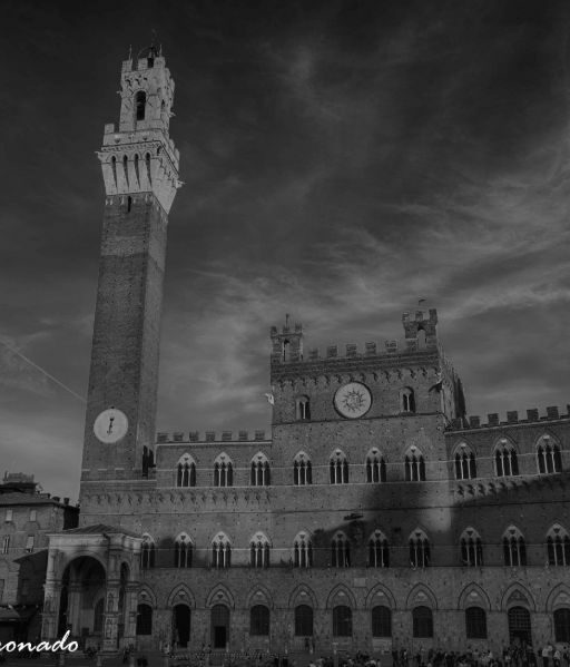 Siena Castle Ai People Travel Europe 4082hd B&w-2} Patricia