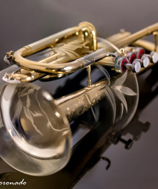 Stacked 16x20 Trumpet Glass Fave Dd2 3977 Pl Edit