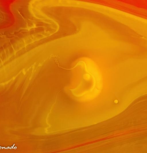 Water Fave Splash Macro