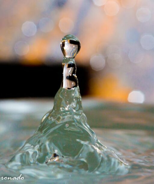 splash from a drop of water
