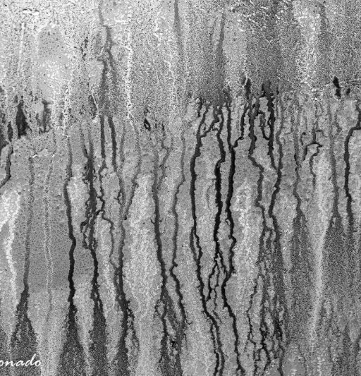 Abstract Frost Ice Texture Frozen Dd2 6072 Bw