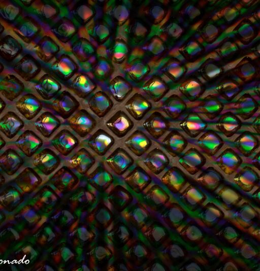 Abstract Ltr Round Flamingo Dd2 3872 Bw