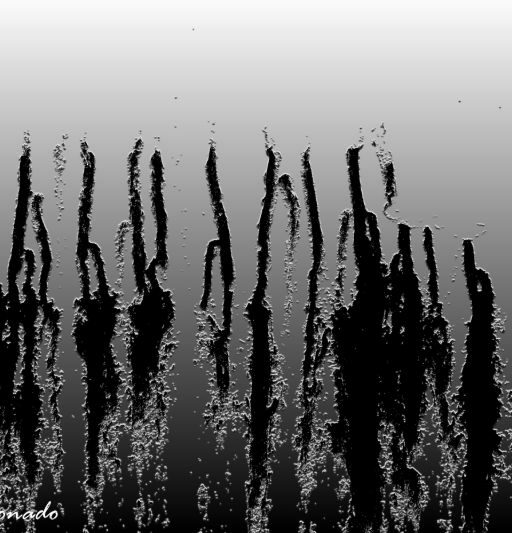 Abstract A Twirler Dd2 6343 A