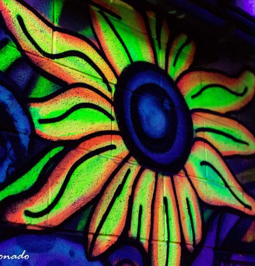 Artwork Painting Fluorescent Millave Dd2 1810