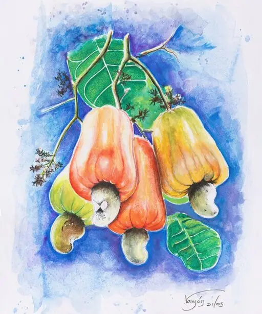 Cashews