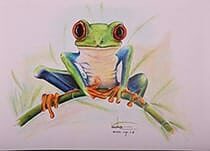 Froggy
