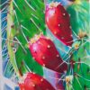 Three Red Cactus Blossoms - by Rasika