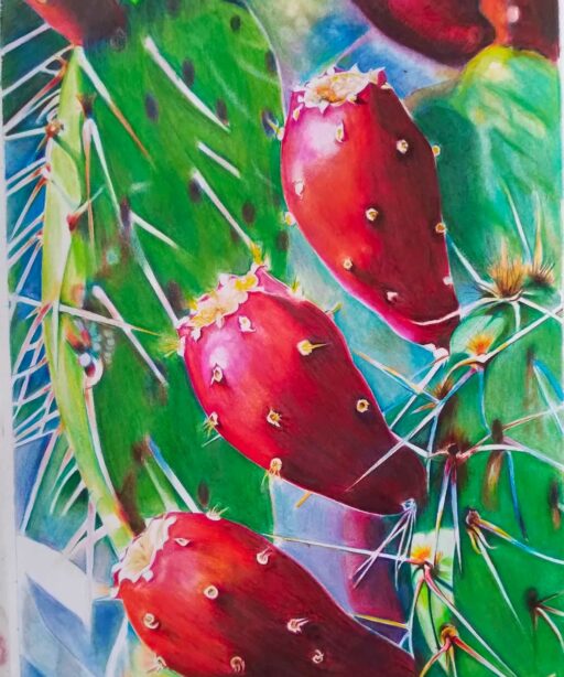 Three Red Cactus Blossoms - by Rasika